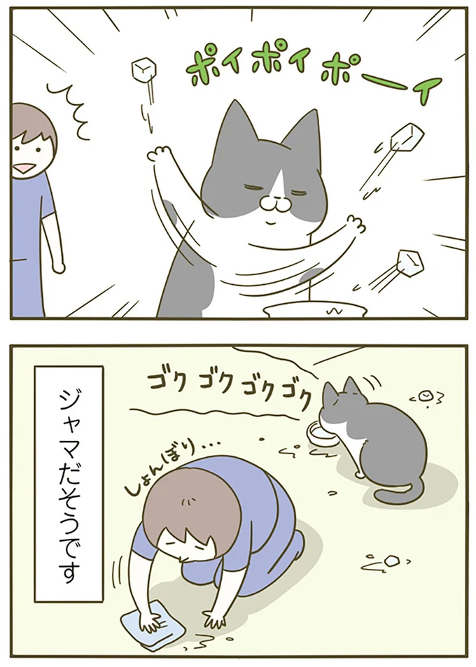 ポイポイポーイ
