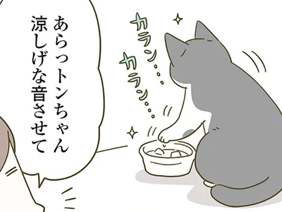 猫用の水に氷を入れてみたら