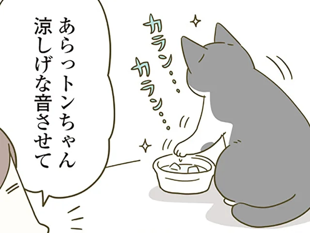 暑い日の飼い主の気遣い。猫用の水に氷を入れてみたら