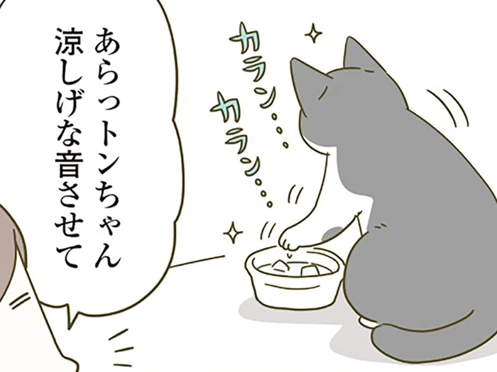 暑い日の飼い主の気遣い。猫用の水に氷を入れてみたら