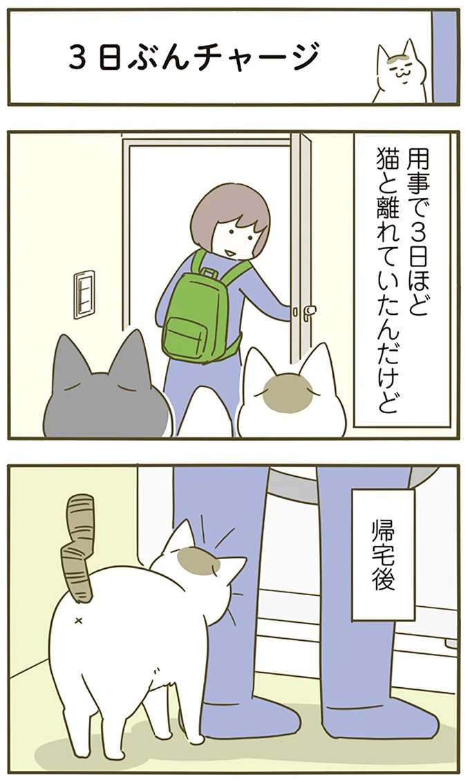3日分チャージ