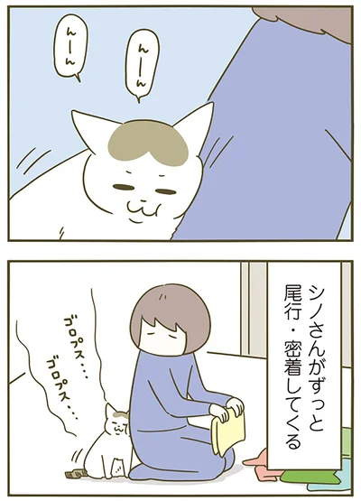 尾行・密着