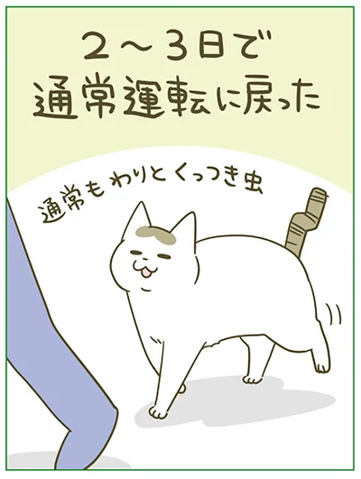 通常運転に戻った