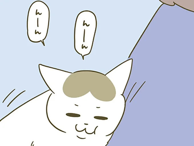 3日後、帰ってくると…