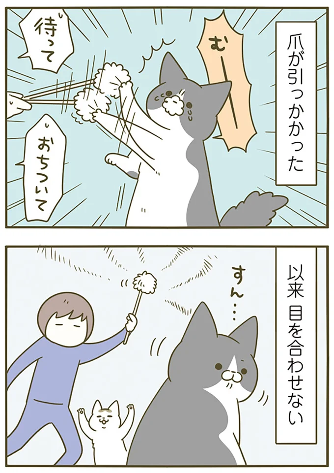 トンちゃんのトラウマ
