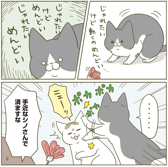 じゃれたいけど動くのめんどい…