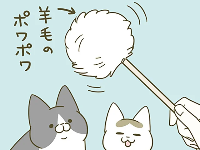 新しいおもちゃで遊びたいだけでした。ポワポワを掴んだ猫の悲劇