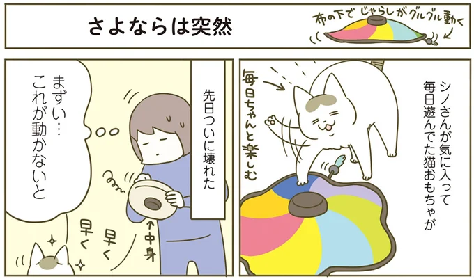 突然のお別れに…