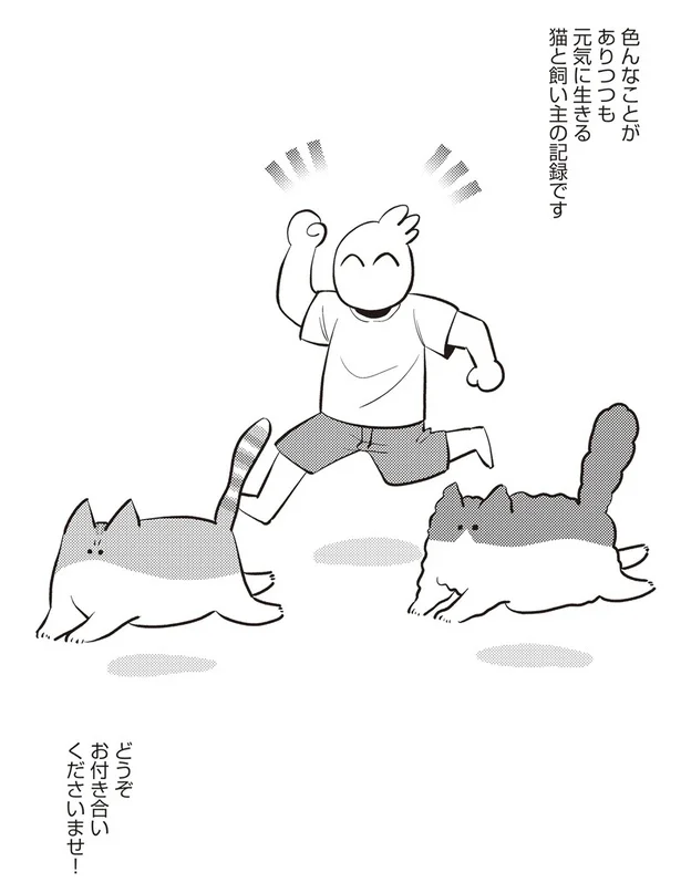 「レオとシロウのドタバタ猫日記」より