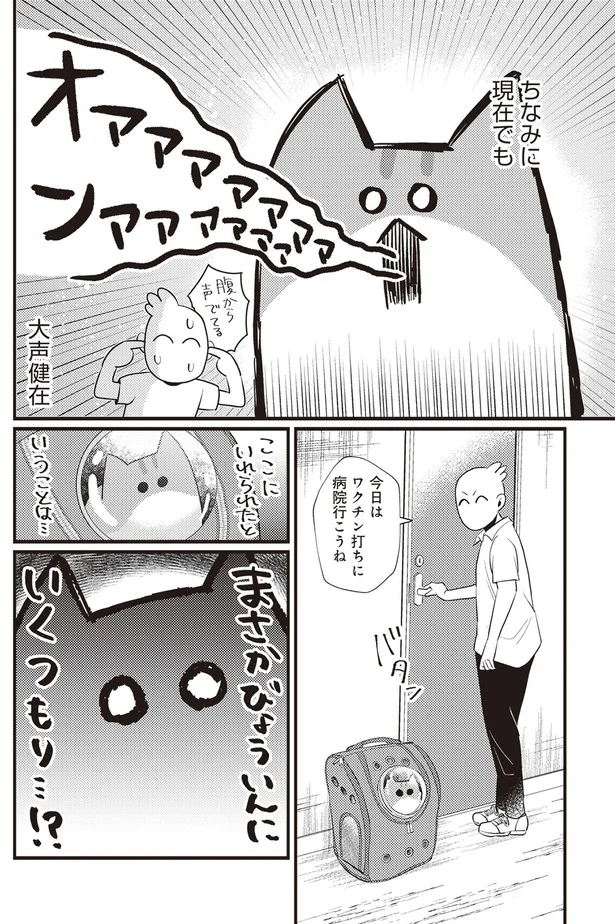 「レオとシロウのドタバタ猫日記」より