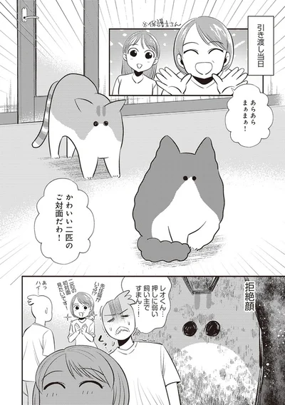  「レオとシロウのドタバタ猫日記」より