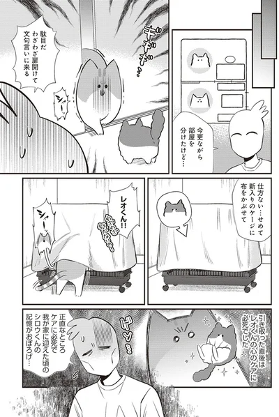  「レオとシロウのドタバタ猫日記」より