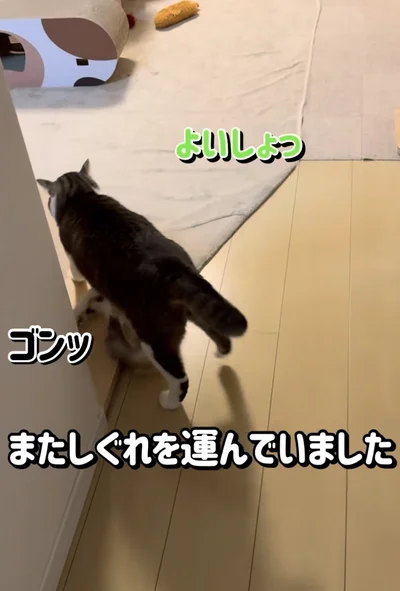 ぶつかってしまった！▶体勢を整えようとしたら…（⇒次へ）