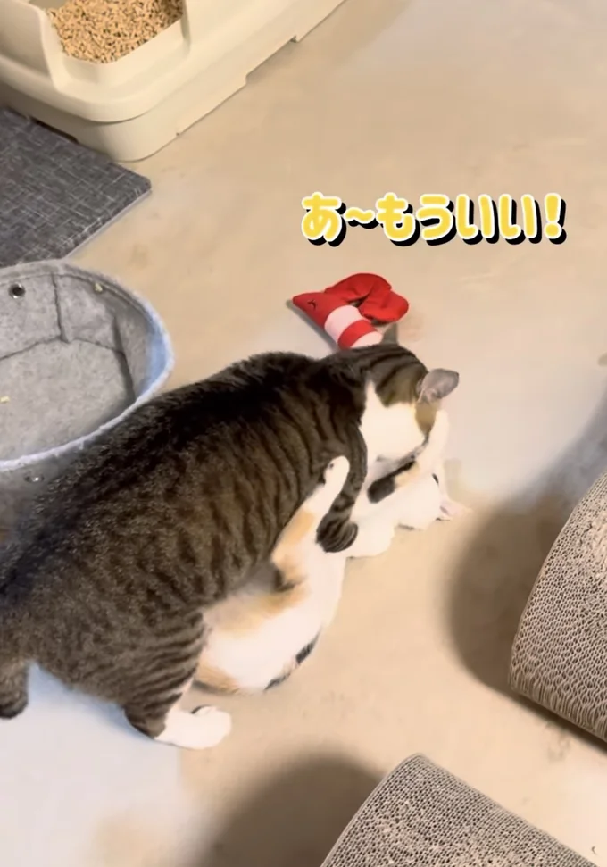 やめて!と妹からの反抗▶なんとか運びたい兄…(⇒次へ)