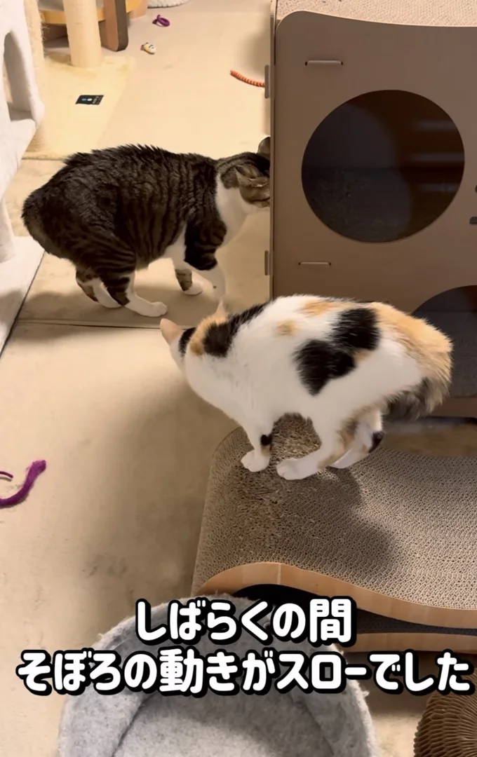 戸惑いを隠せない▶ショックで…(⇒次へ)