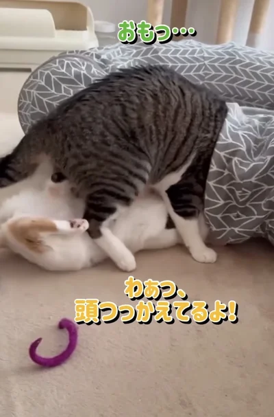頭がひっかかってしまった▶怒った妹が…（⇒次へ）