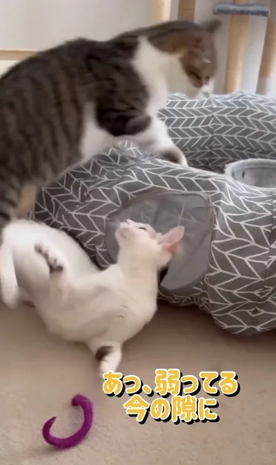 脱出成功！▶妹を運べなくて…（⇒次へ）