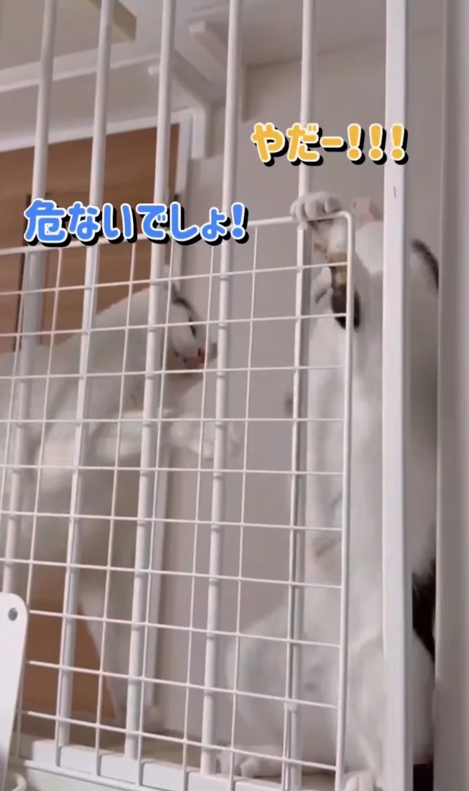 注意されてるみたい▶言うことを聞かない妹…(⇒次へ)