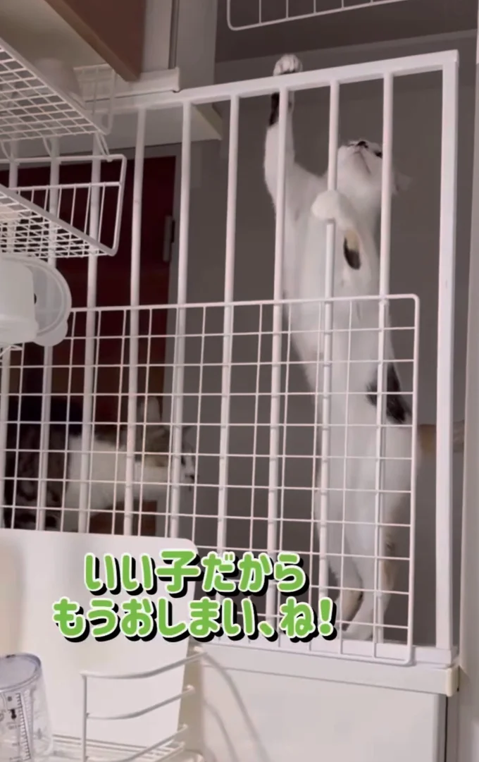 そぼろ兄さんの登場▶注意されると…(⇒次へ)