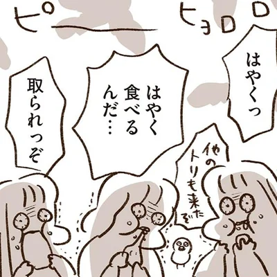 マブダチとのピクニック中にまさかの敵襲!?パンをめぐる天敵との攻防