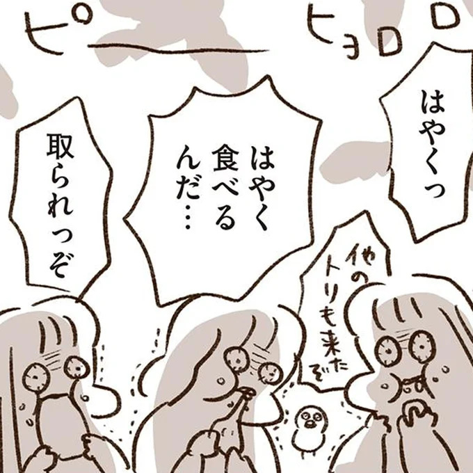 はやく食べるんだ…