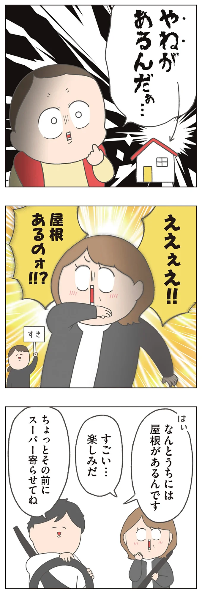 なんとうちには屋根があるんです