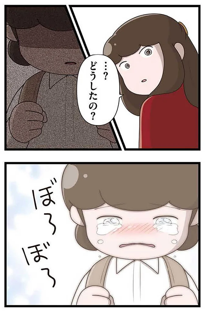 『「お母さんの言うとおり」にしてきたのに　家族全員でいじめと戦うということ。 サキコの場合』より
