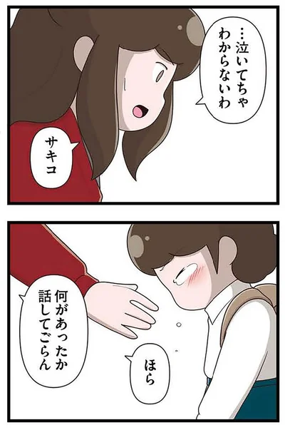 『「お母さんの言うとおり」にしてきたのに　家族全員でいじめと戦うということ。 サキコの場合』より
