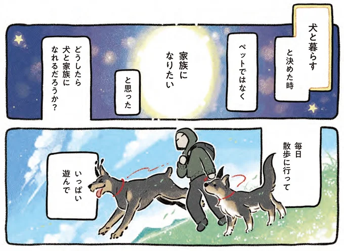 『ドベとノラ 4 犬と家族に』より