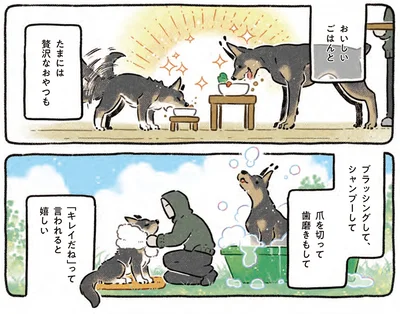 『ドベとノラ 4 犬と家族に』より
