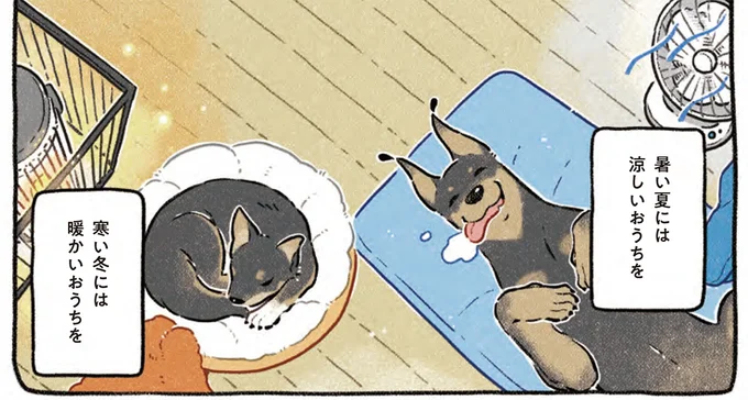 『ドベとノラ 4 犬と家族に』より