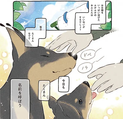『ドベとノラ 4 犬と家族に』より