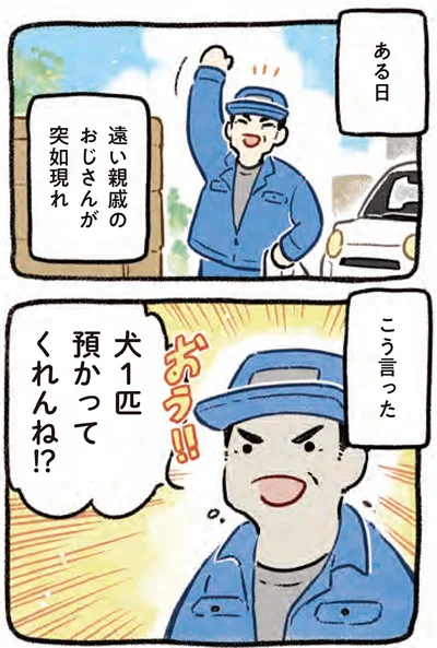 『ドベとノラ 4 犬と家族に』より