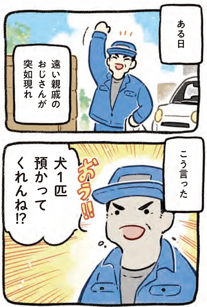 『ドベとノラ 4 犬と家族に』より