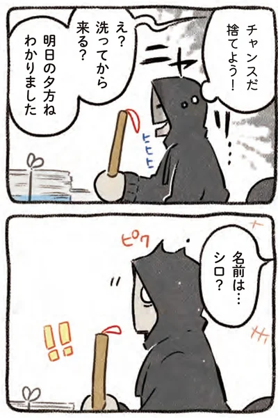 『ドベとノラ 4 犬と家族に』より