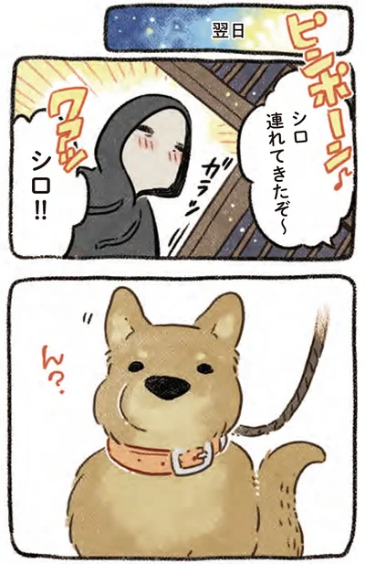 『ドベとノラ 4 犬と家族に』より