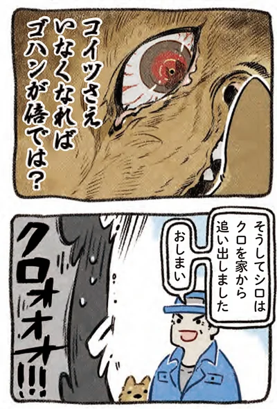 『ドベとノラ 4 犬と家族に』より