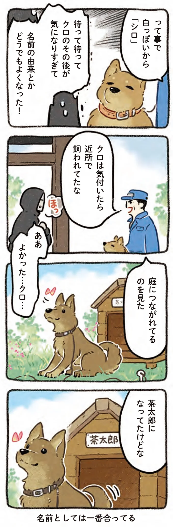 『ドベとノラ 4 犬と家族に』より