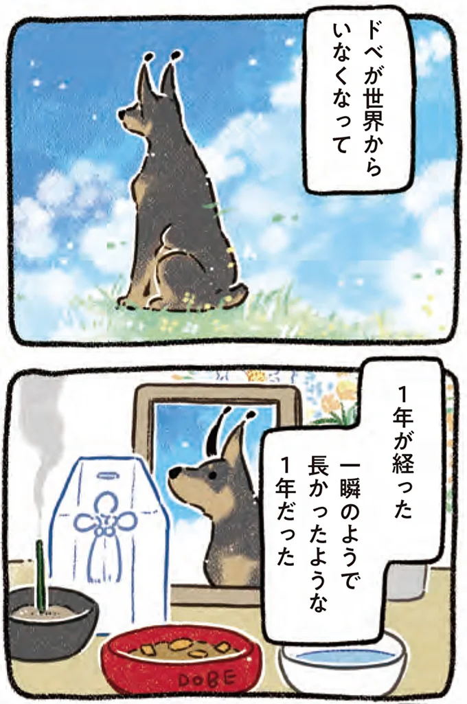 『ドベとノラ 4 犬と家族に』より