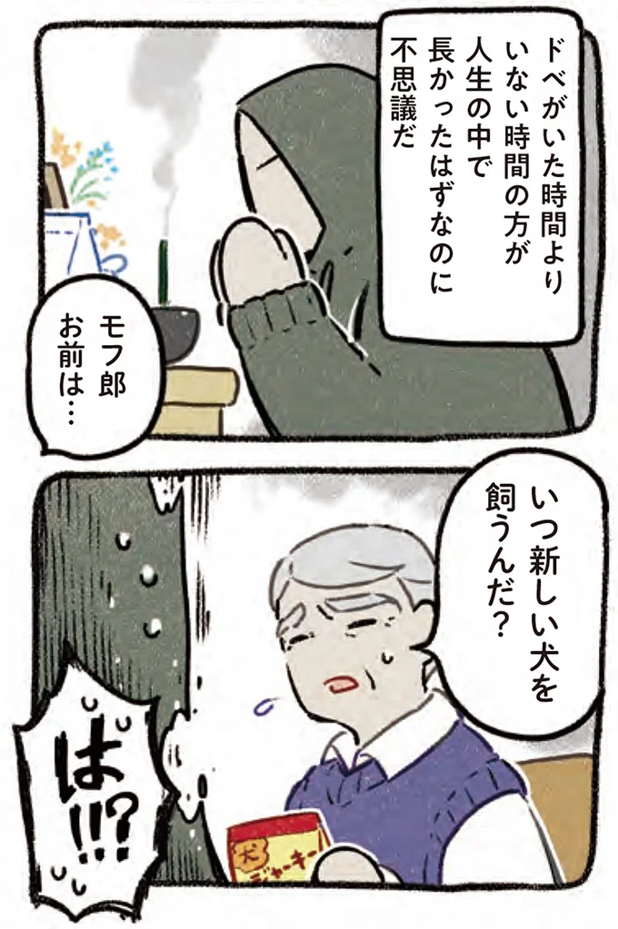 『ドベとノラ 4 犬と家族に』より