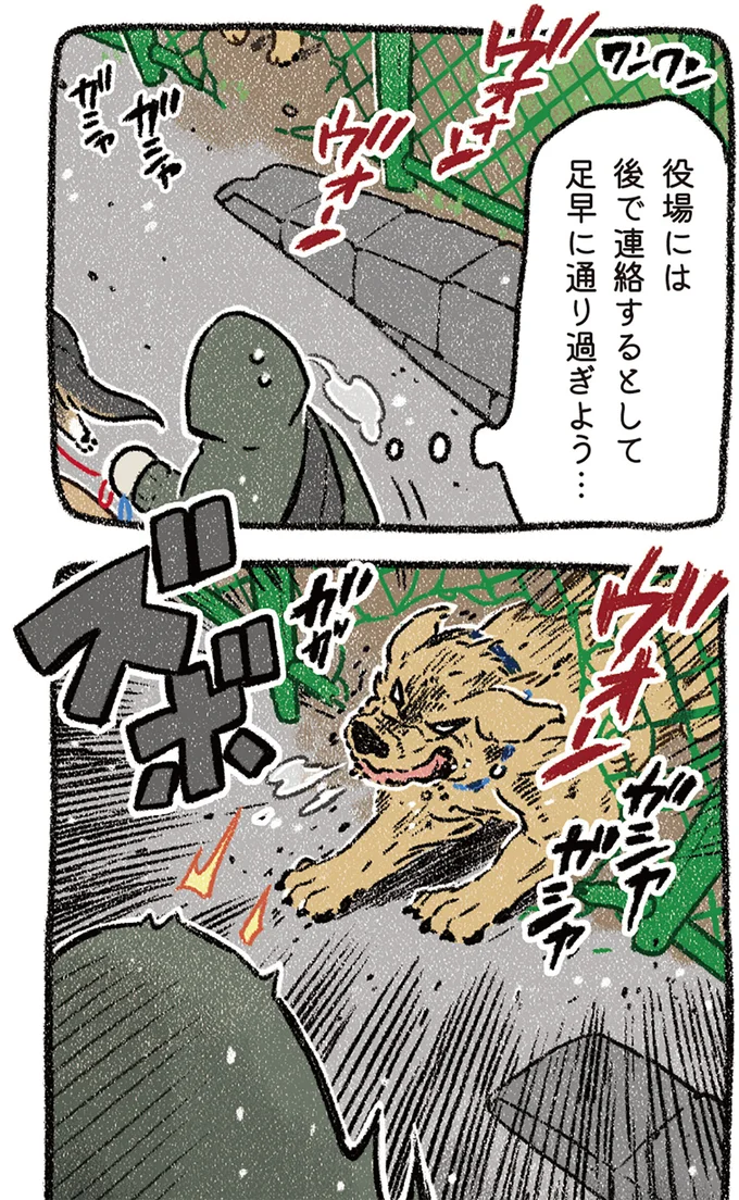 『ドベとノラ 4 犬と家族に』より