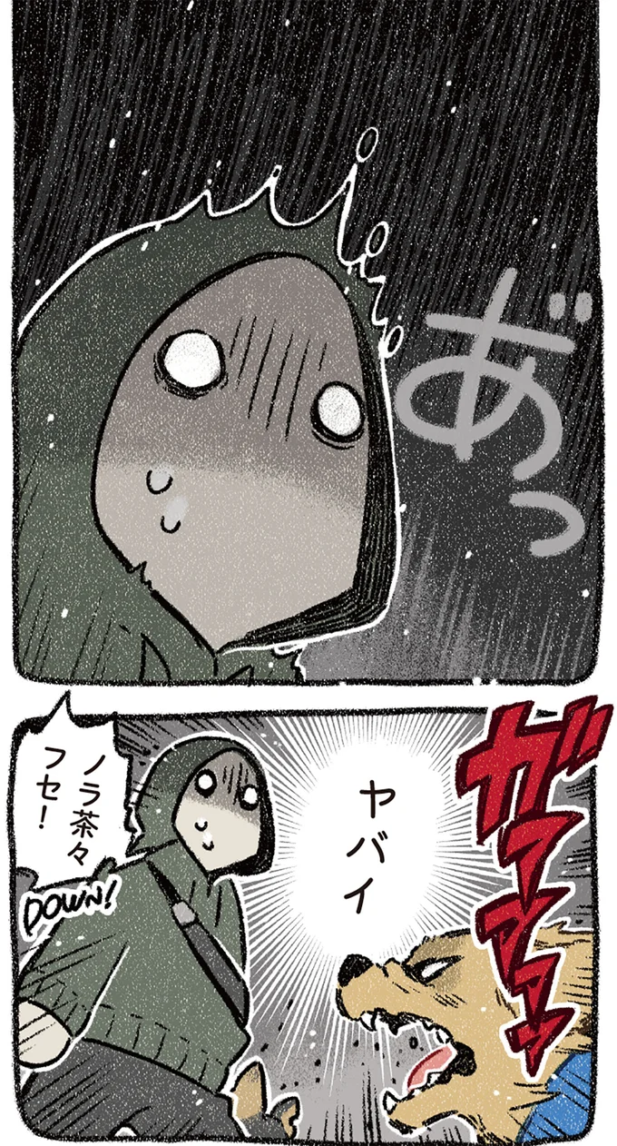 『ドベとノラ 4 犬と家族に』より