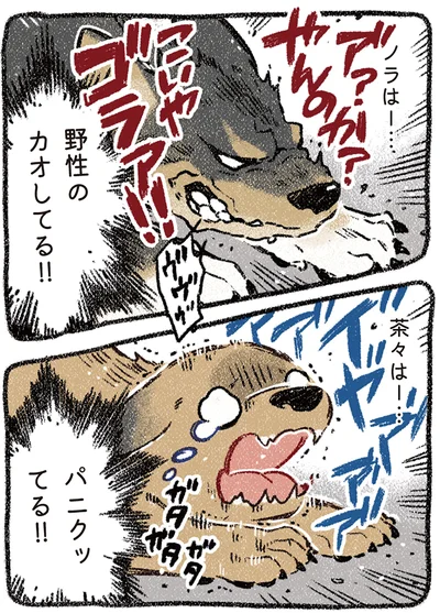 『ドベとノラ 4 犬と家族に』より