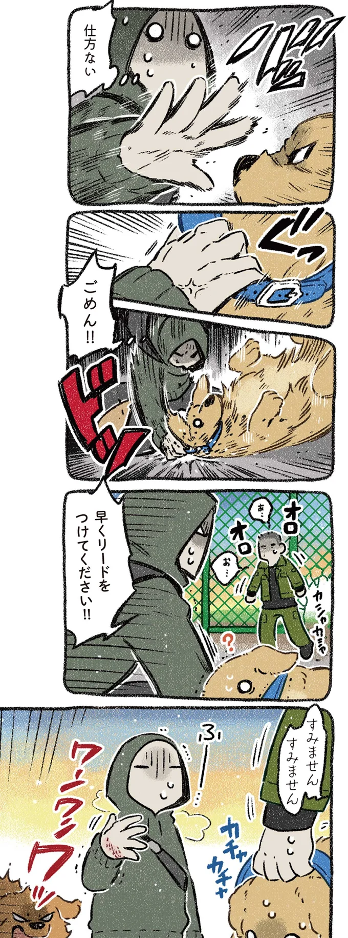 『ドベとノラ 4 犬と家族に』より
