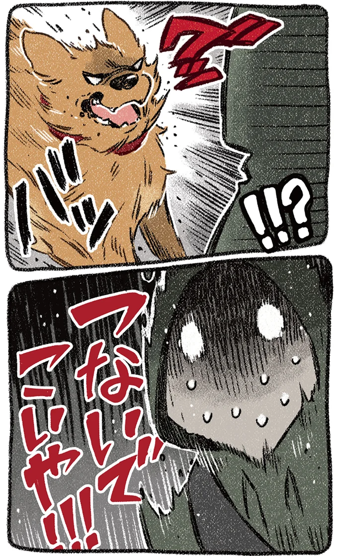 『ドベとノラ 4 犬と家族に』より