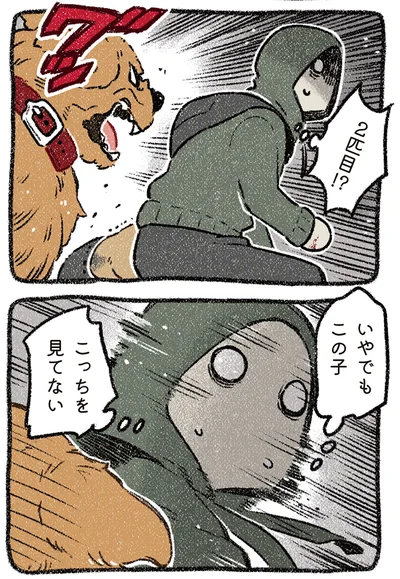 『ドベとノラ 4 犬と家族に』より