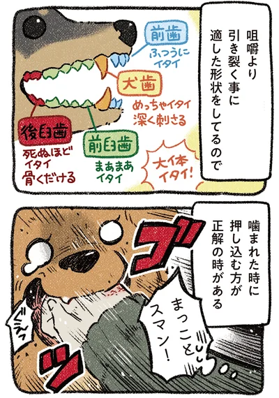 『ドベとノラ 4 犬と家族に』より