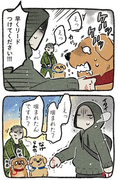 『ドベとノラ 4 犬と家族に』より