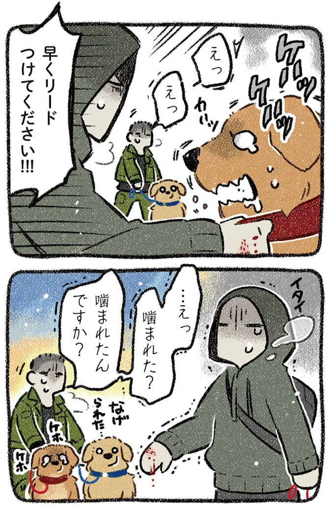 『ドベとノラ 4 犬と家族に』より