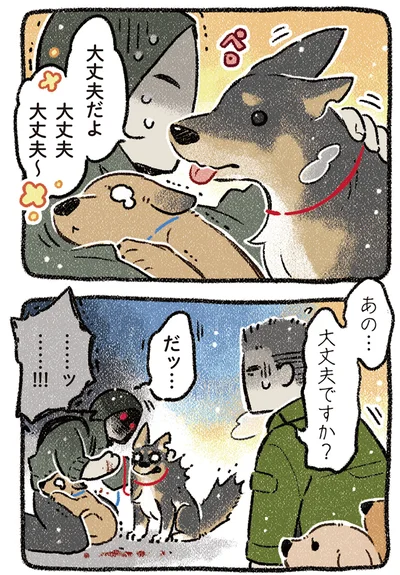 『ドベとノラ 4 犬と家族に』より